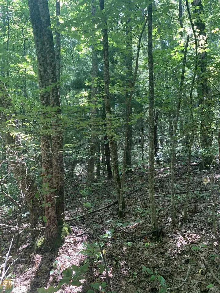 LOT 67 N N Woods PT Sky Valley, GA 30537