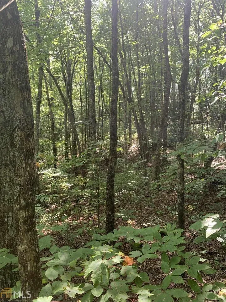 LOT 67 N N Woods PT Sky Valley, GA 30537