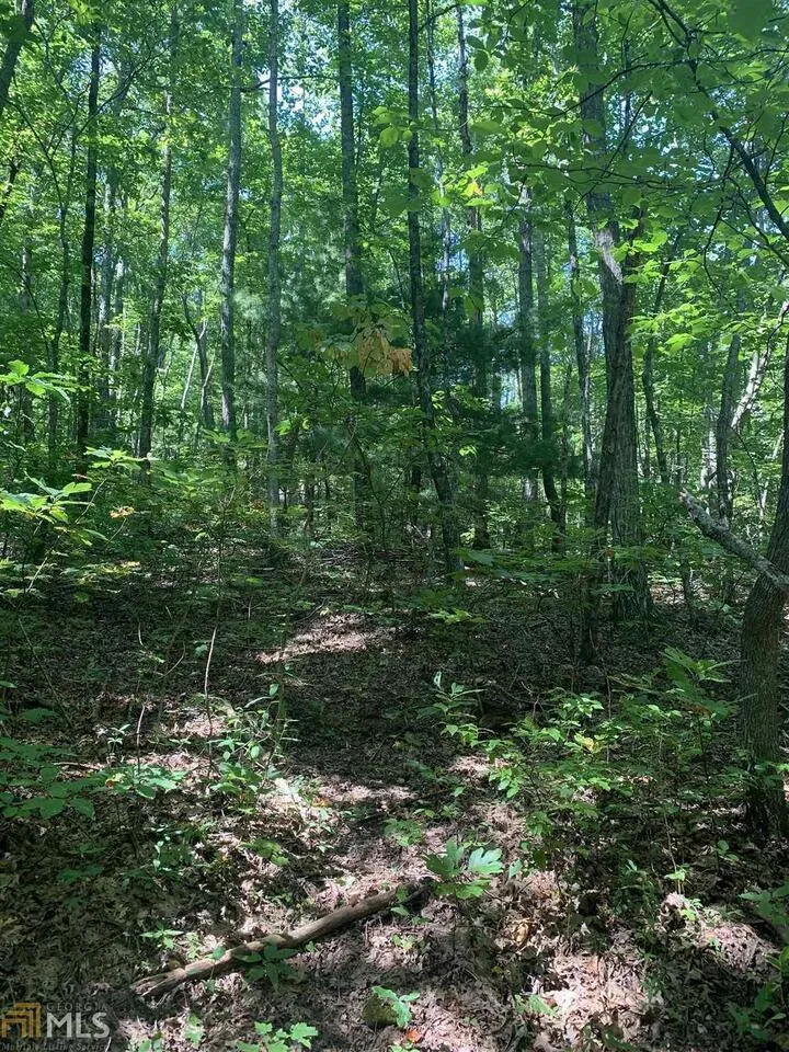 LOT 67 N N Woods PT Sky Valley, GA 30537