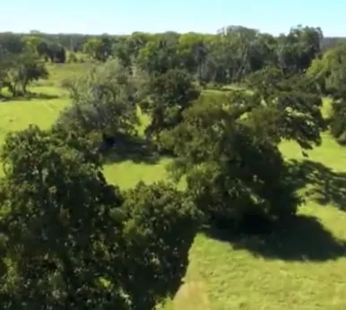 Lancaster Drive Iola, TX 77861