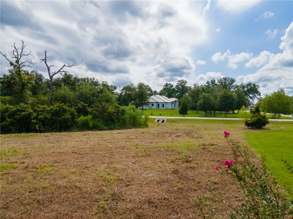 Lancaster Drive Iola, TX 77861
