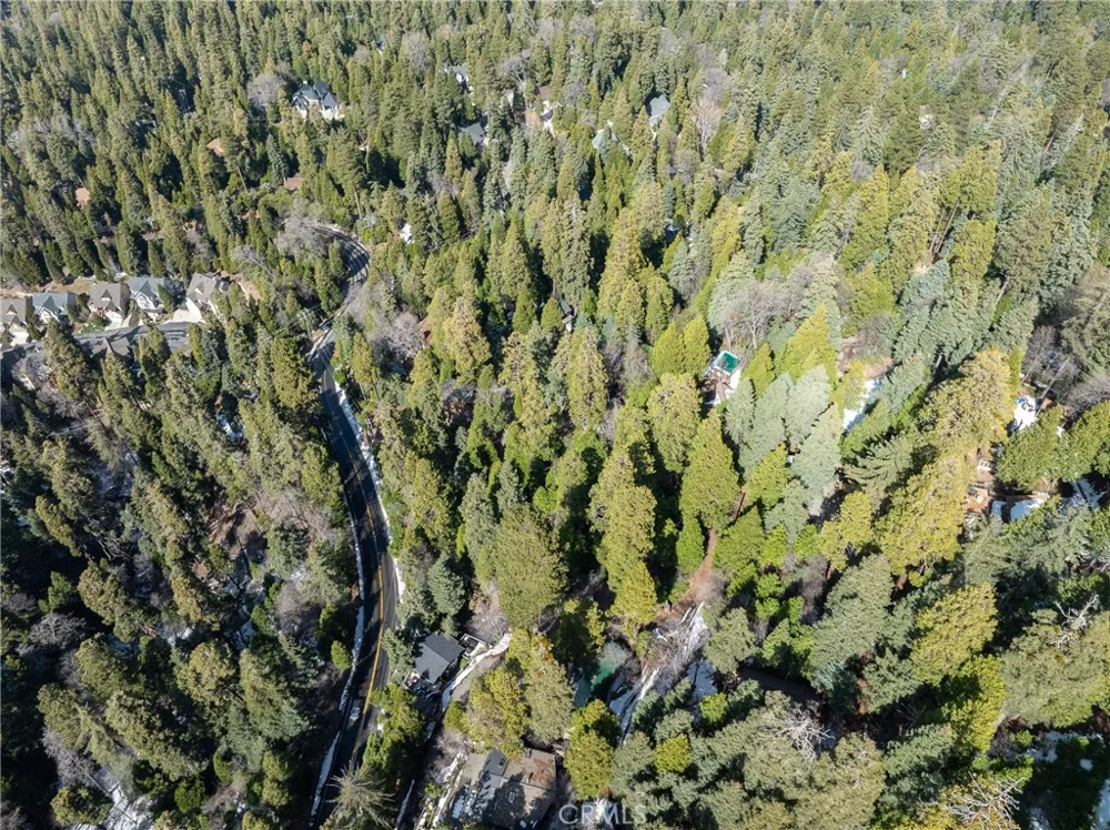 29629 Little Bear Creek Road Cedar Glen, CA 92321