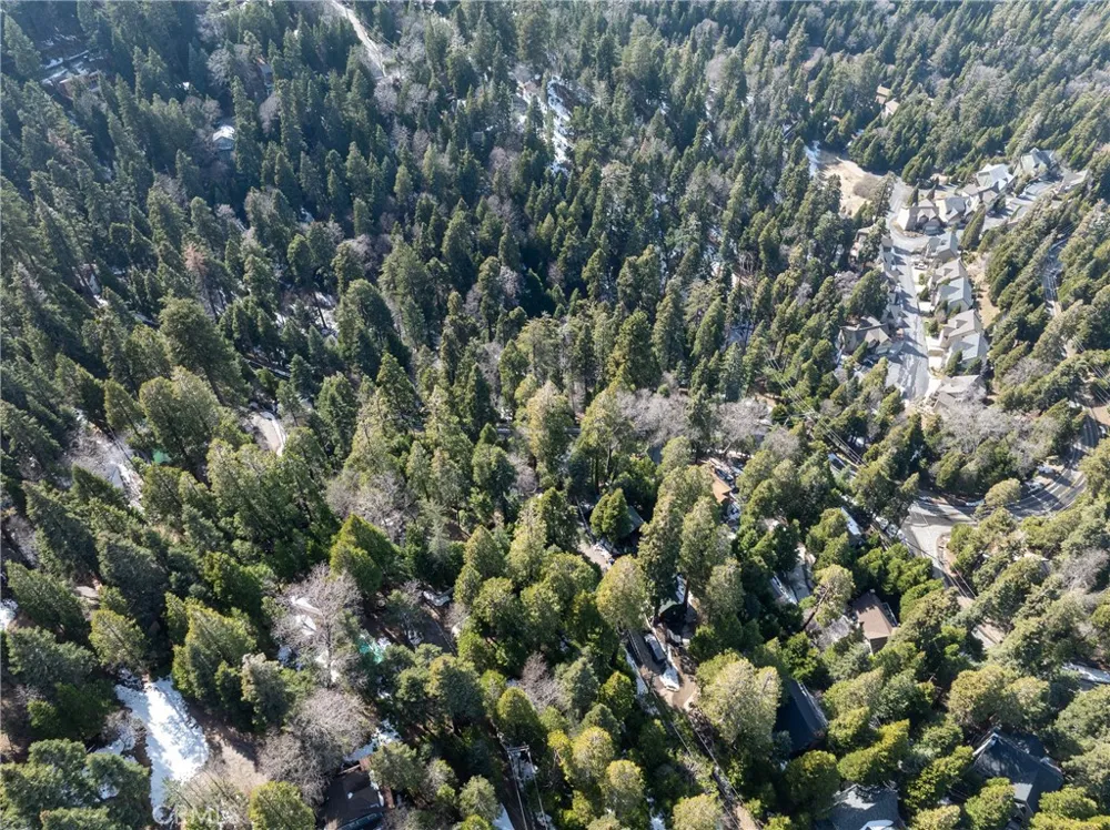 29629 Little Bear Creek Road Cedar Glen, CA 92321
