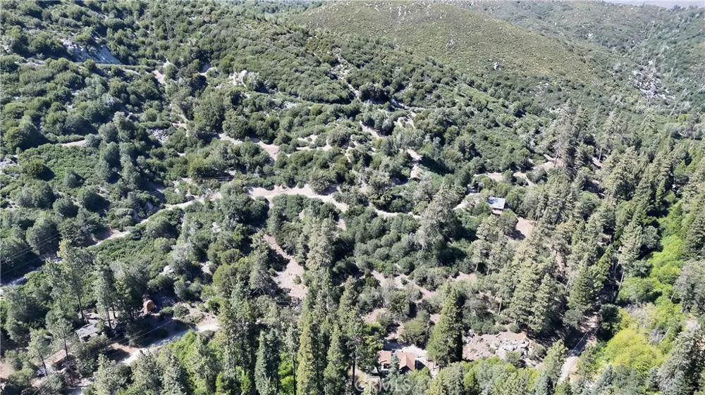 29629 Little Bear Creek Road Cedar Glen, CA 92321