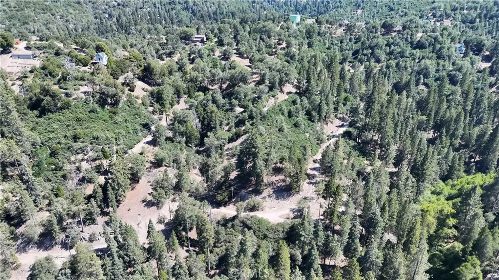 29629 Little Bear Creek Road Cedar Glen, CA 92321