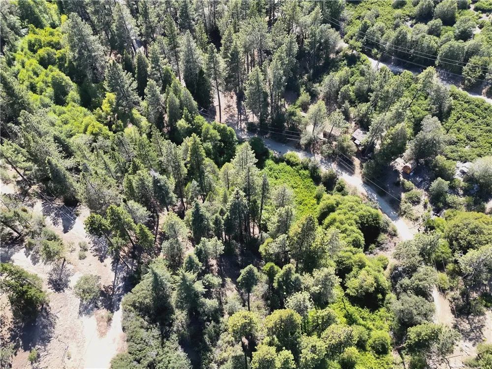 29629 Little Bear Creek Road Cedar Glen, CA 92321