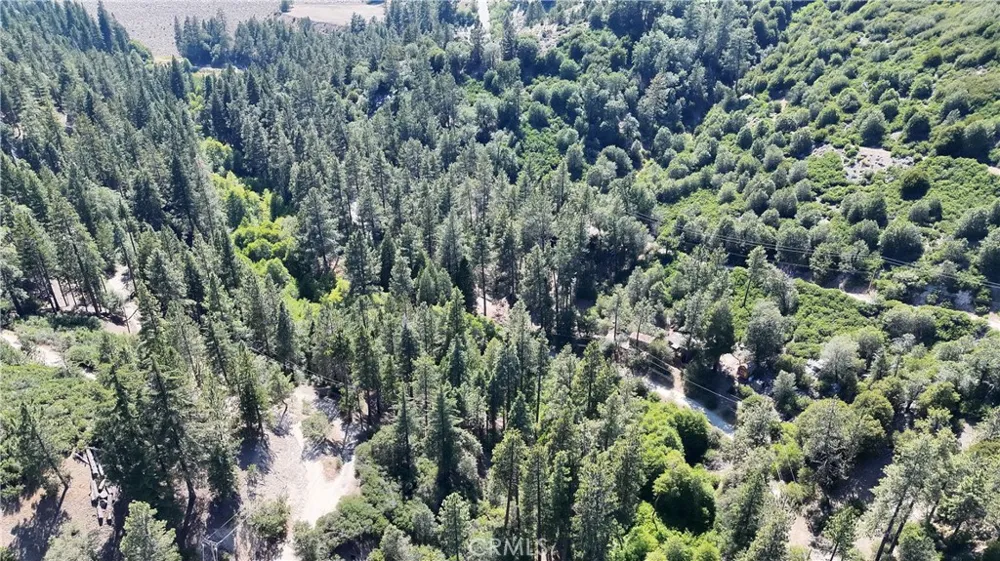 29629 Little Bear Creek Road Cedar Glen, CA 92321