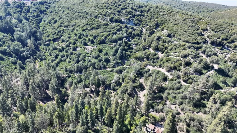 29629 Little Bear Creek Road Cedar Glen, CA 92321