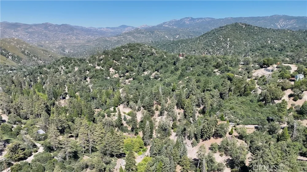 29629 Little Bear Creek Road Cedar Glen, CA 92321