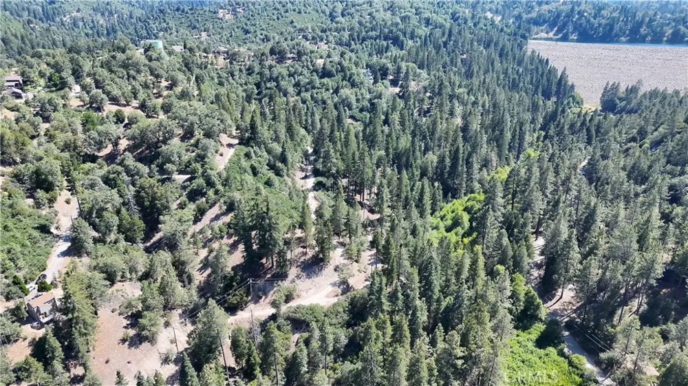 29629 Little Bear Creek Road Cedar Glen, CA 92321