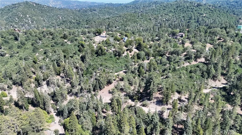 29629 Little Bear Creek Road Cedar Glen, CA 92321