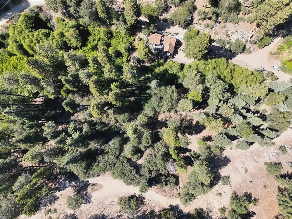 29629 Little Bear Creek Road Cedar Glen, CA 92321
