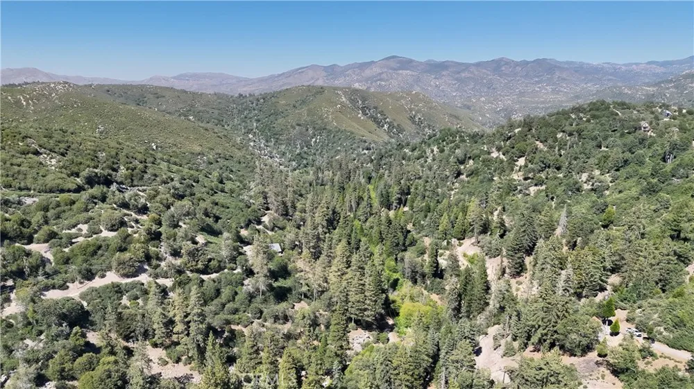 29629 Little Bear Creek Road Cedar Glen, CA 92321