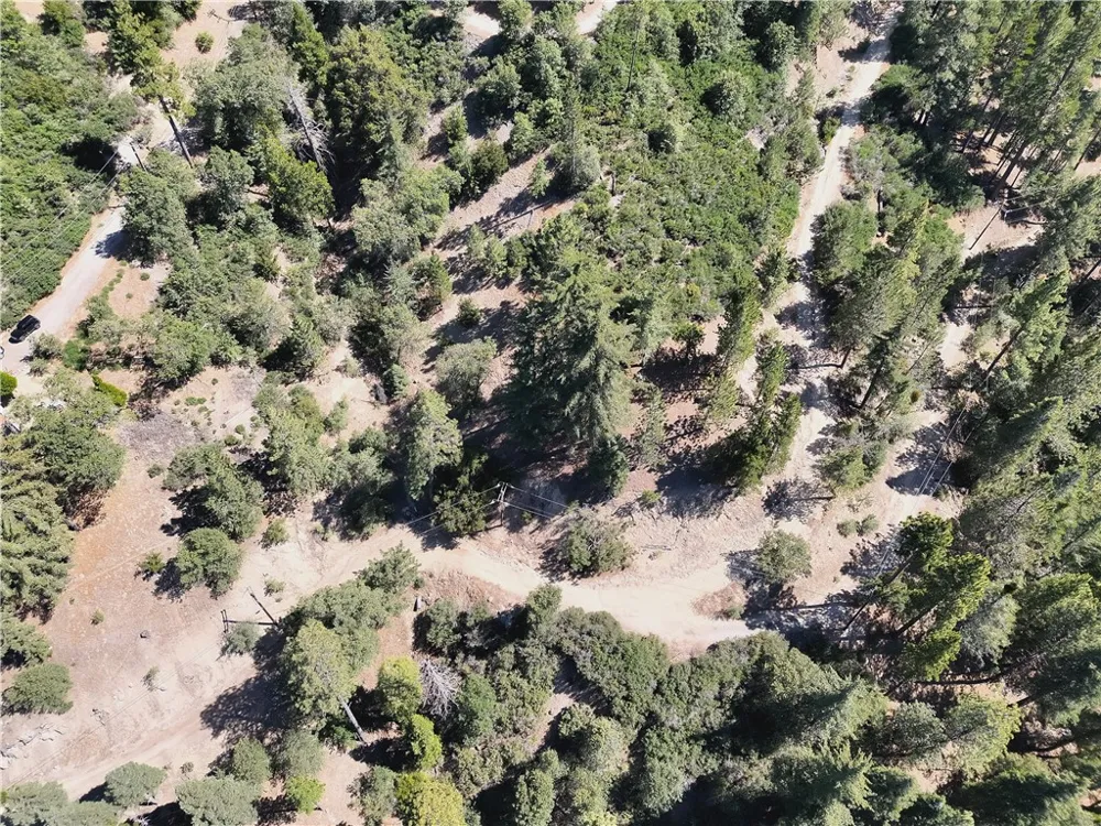 29629 Little Bear Creek Road Cedar Glen, CA 92321