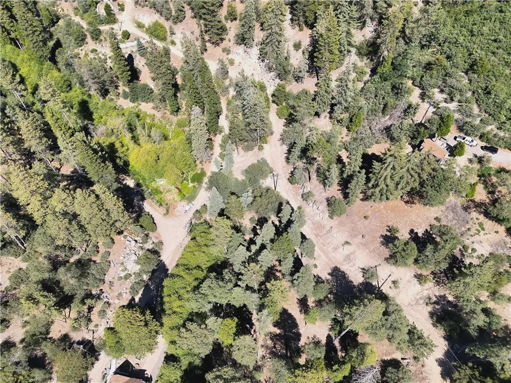29629 Little Bear Creek Road Cedar Glen, CA 92321