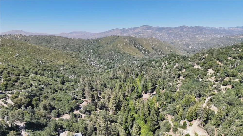 29629 Little Bear Creek Road Cedar Glen, CA 92321
