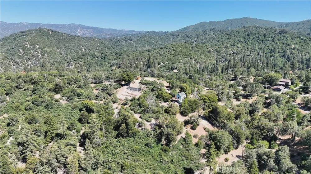29629 Little Bear Creek Road Cedar Glen, CA 92321