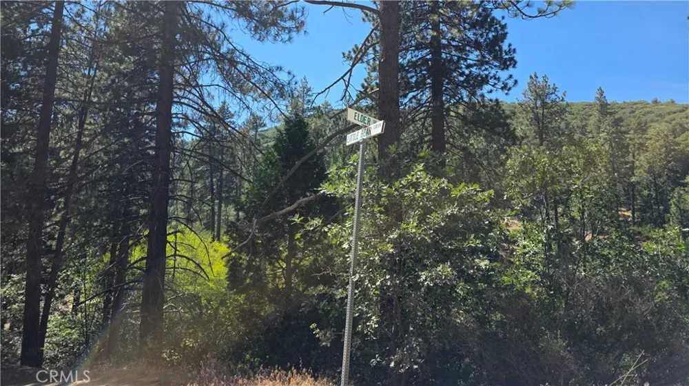 29629 Little Bear Creek Road Cedar Glen, CA 92321