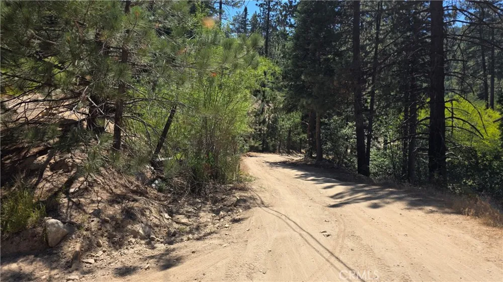 29629 Little Bear Creek Road Cedar Glen, CA 92321
