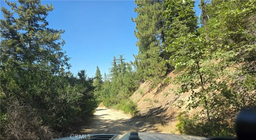 29629 Little Bear Creek Road Cedar Glen, CA 92321