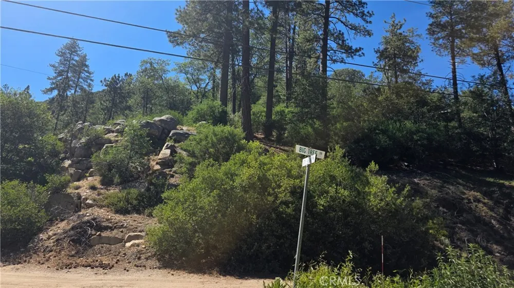 29629 Little Bear Creek Road Cedar Glen, CA 92321
