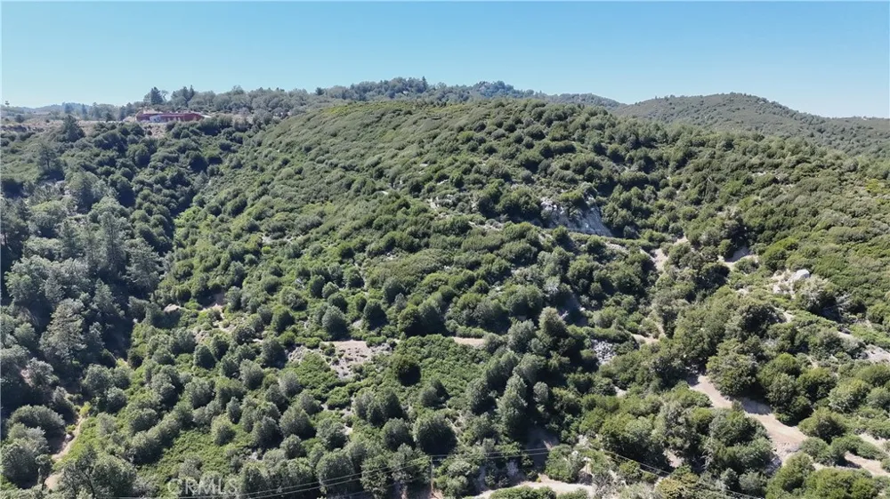 29629 Little Bear Creek Road Cedar Glen, CA 92321