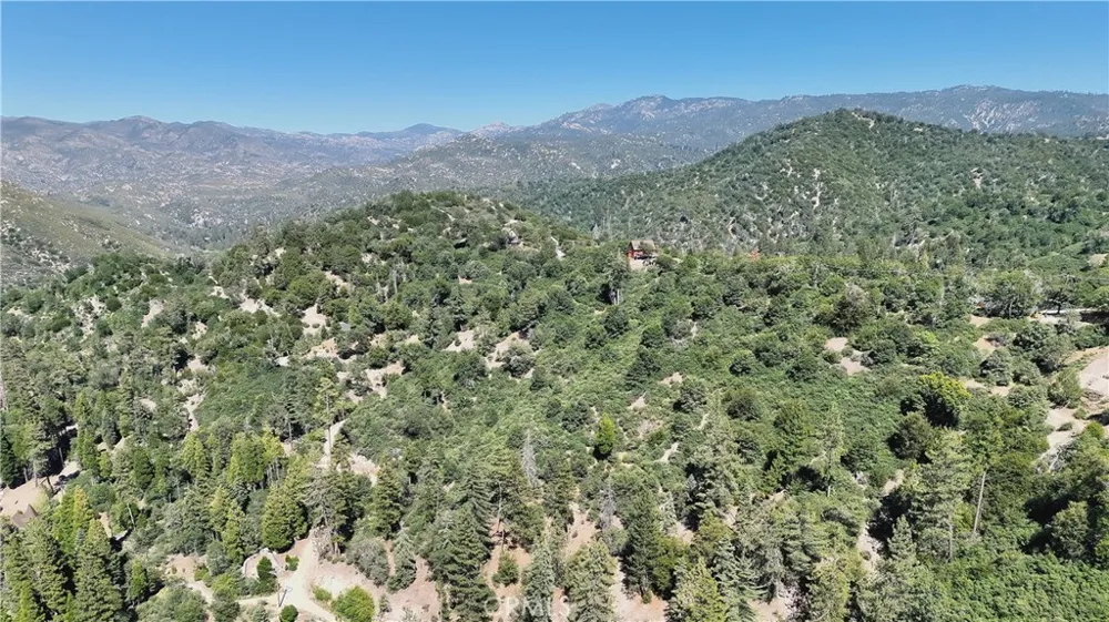 29629 Little Bear Creek Road Cedar Glen, CA 92321
