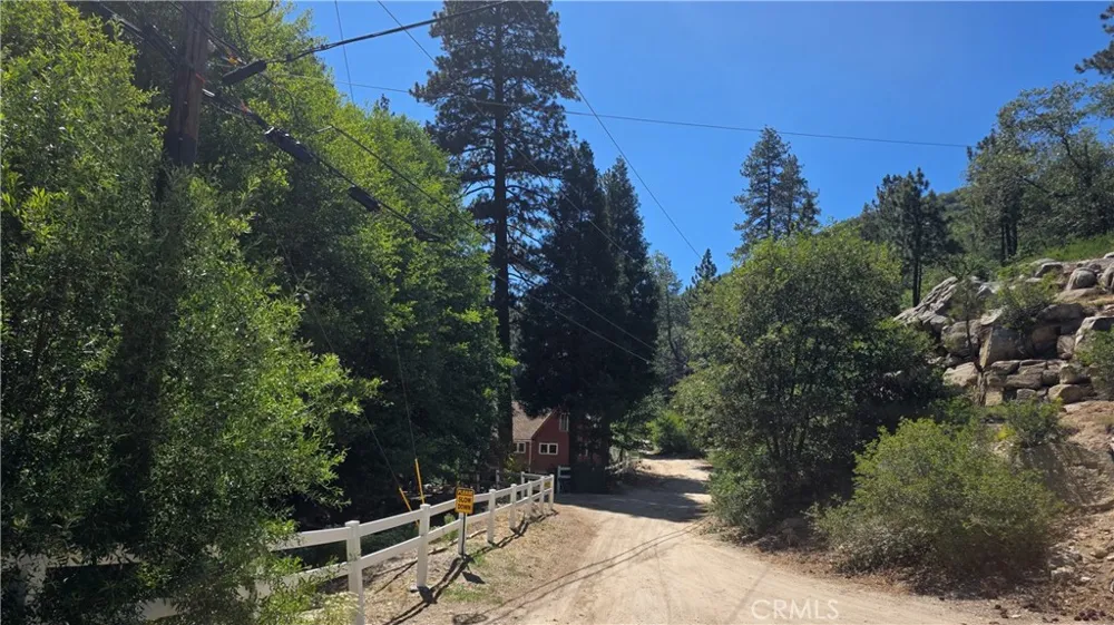 29629 Little Bear Creek Road Cedar Glen, CA 92321