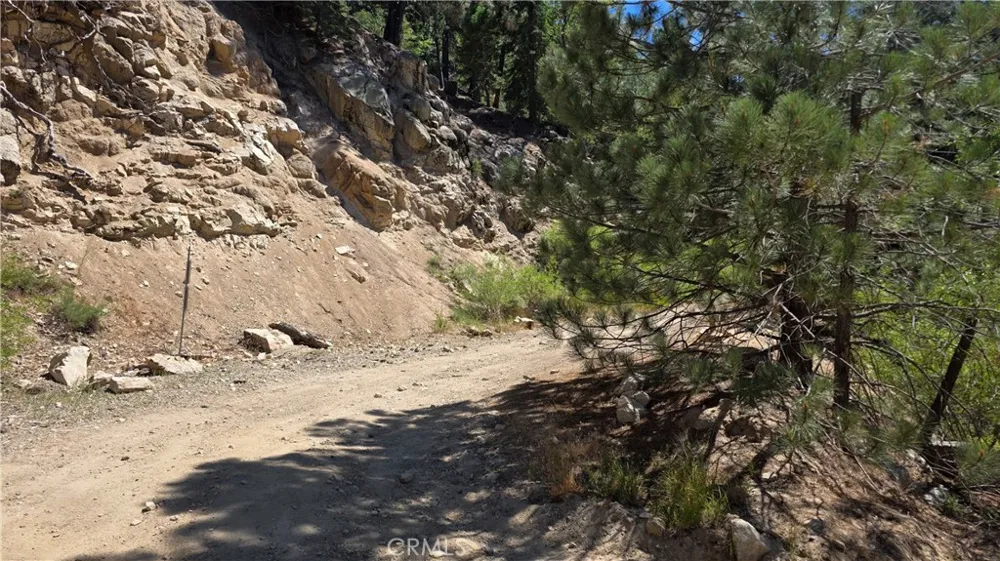 29629 Little Bear Creek Road Cedar Glen, CA 92321