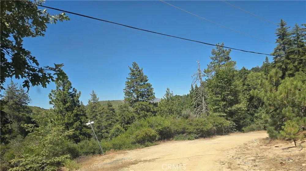 29629 Little Bear Creek Road Cedar Glen, CA 92321