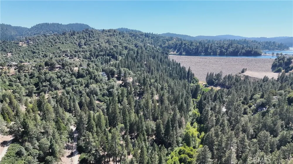 29629 Little Bear Creek Road Cedar Glen, CA 92321