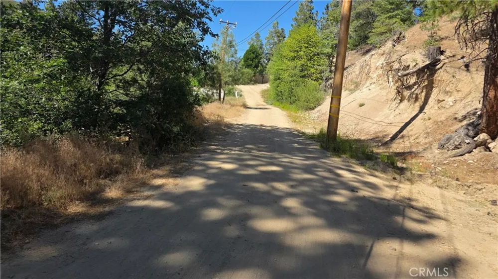 29629 Little Bear Creek Road Cedar Glen, CA 92321