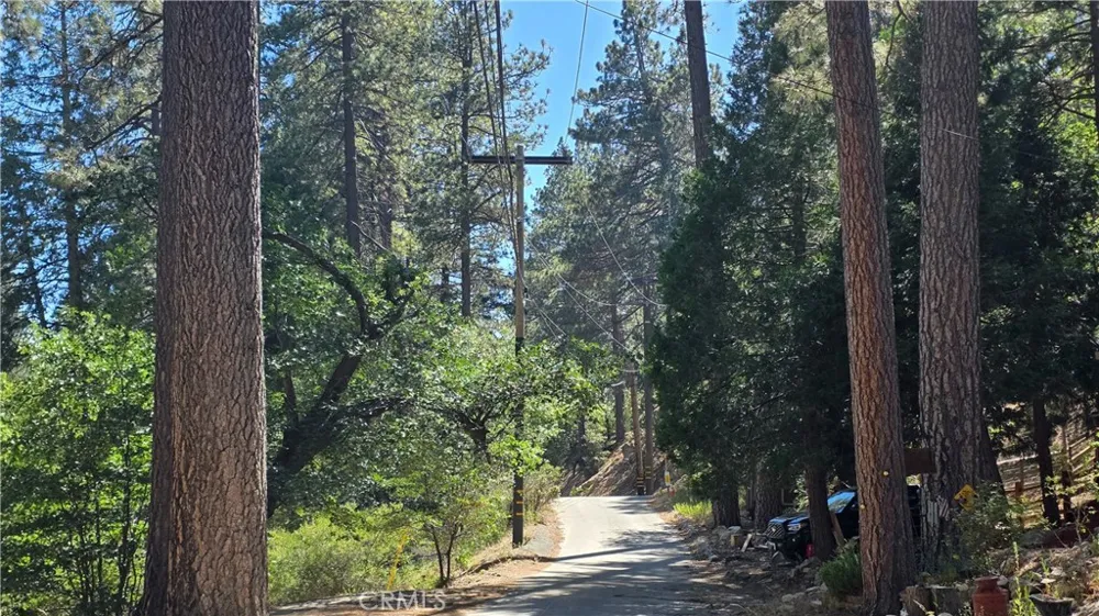 29629 Little Bear Creek Road Cedar Glen, CA 92321