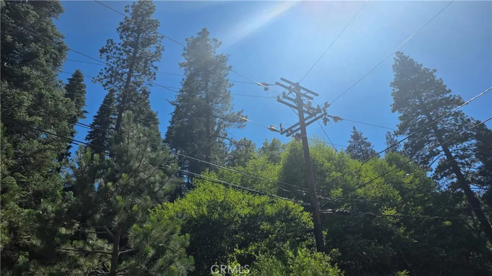 29629 Little Bear Creek Road Cedar Glen, CA 92321