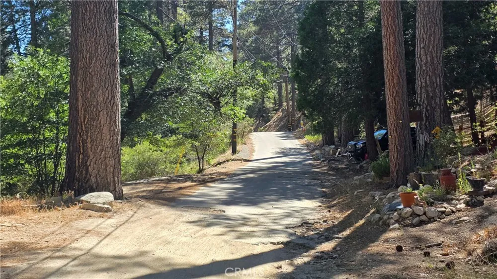 29629 Little Bear Creek Road Cedar Glen, CA 92321
