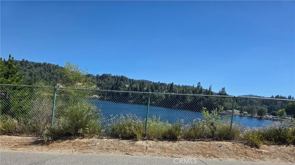 29629 Little Bear Creek Road Cedar Glen, CA 92321