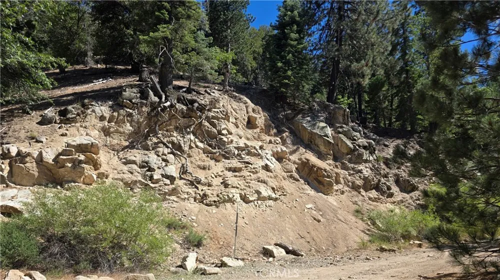 29629 Little Bear Creek Road Cedar Glen, CA 92321