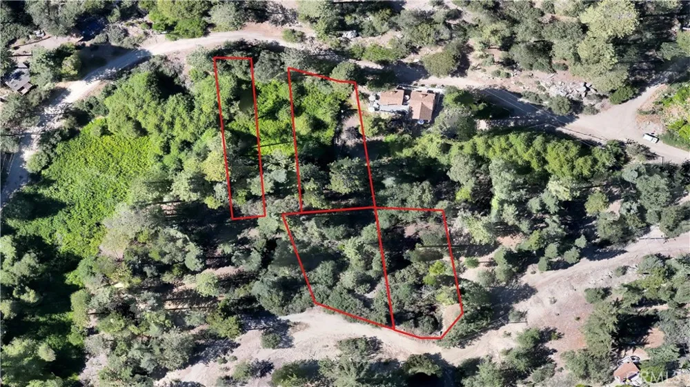 29629 Little Bear Creek Road Cedar Glen, CA 92321