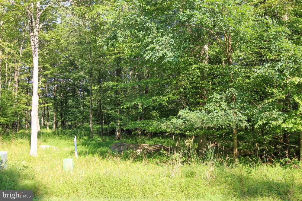 WINDING ESTATES DR Mc Henry, MD 21541