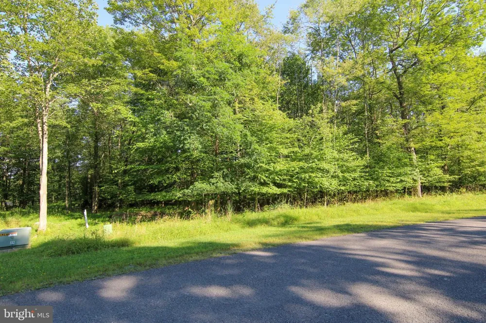 WINDING ESTATES DR Mc Henry, MD 21541