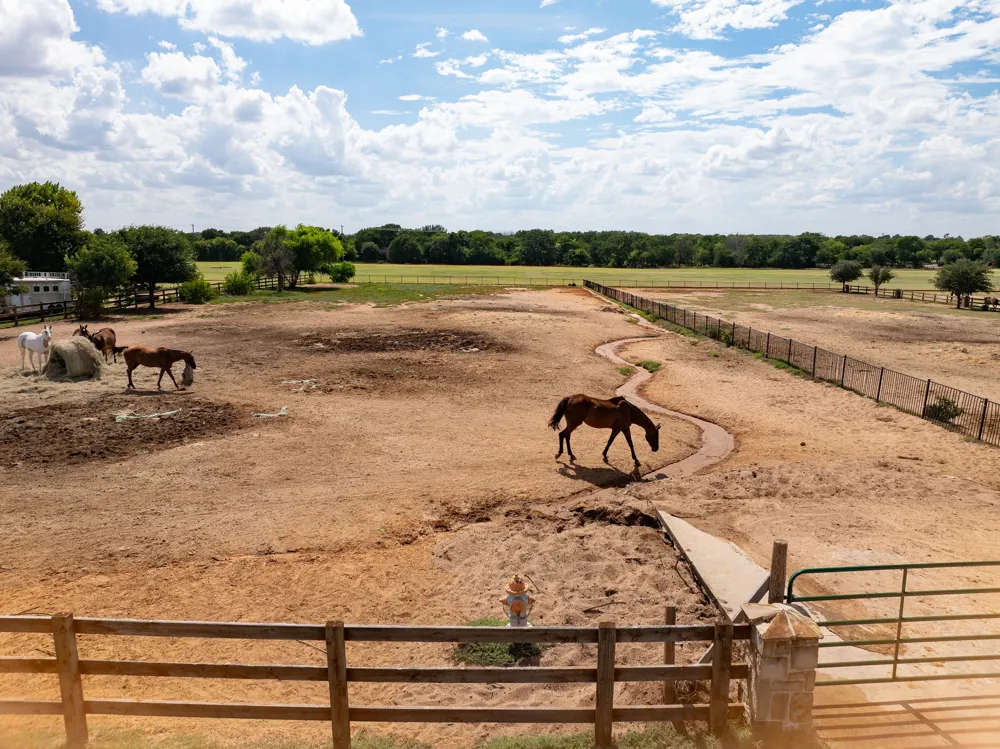 510 Prestonwood Polo Drive Oak Point, TX 75068