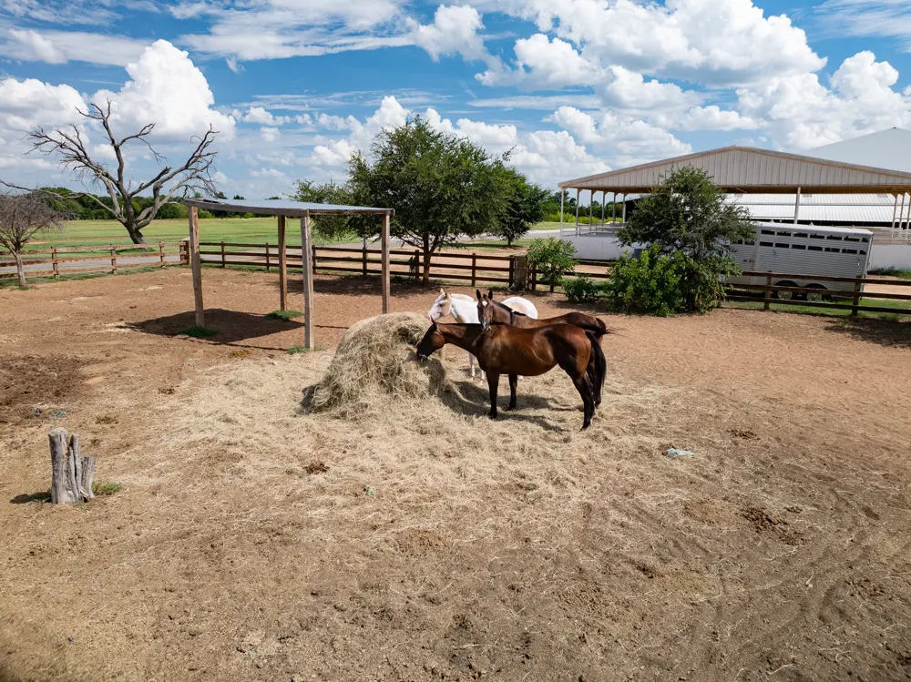 510 Prestonwood Polo Drive Oak Point, TX 75068