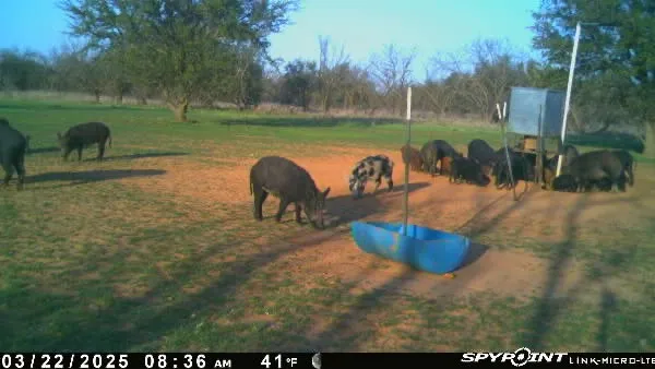1712 Wells East Road W Newcastle, TX 76372