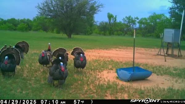 1712 Wells East Road W Newcastle, TX 76372