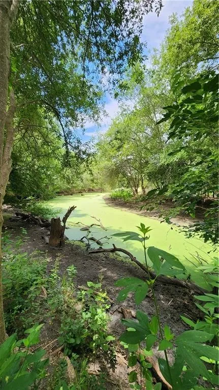 1249 CR 772 Natalia, TX 78059