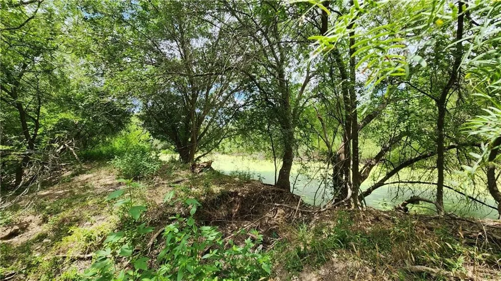 1249 CR 772 Natalia, TX 78059