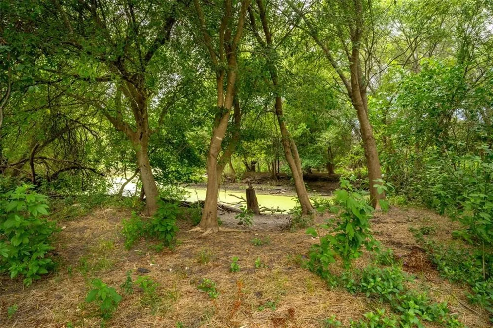 1249 CR 772 Natalia, TX 78059