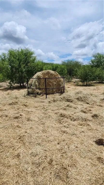1249 CR 772 Natalia, TX 78059