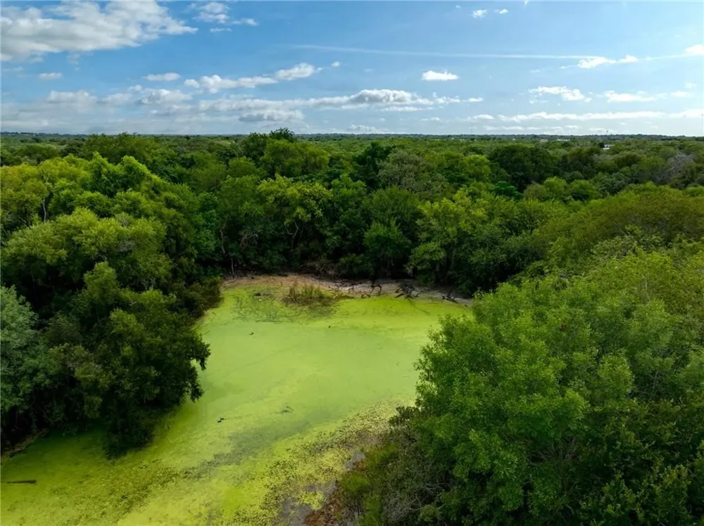 1249 CR 772 Natalia, TX 78059