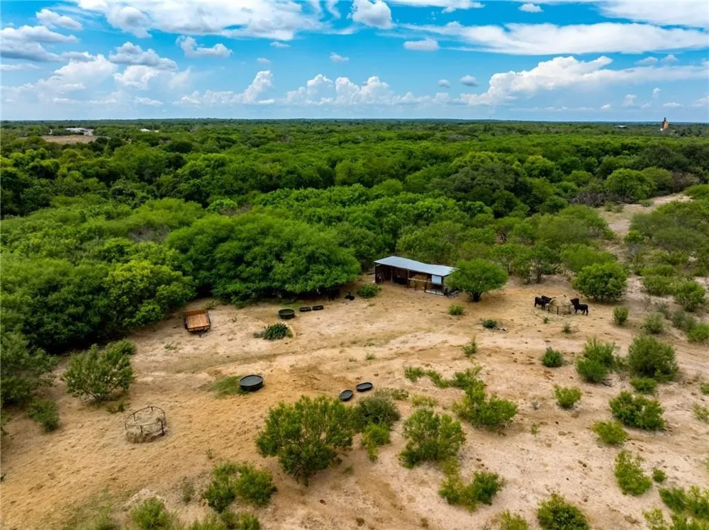 1249 CR 772 Natalia, TX 78059